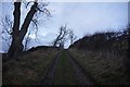 Southern Upland Way towards Gateside Bank