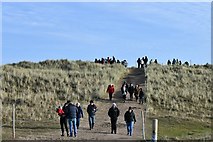 TG4624 : Horsey Gap: Track to the grey seal viewing area by Michael Garlick
