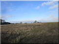 Stubble field off Broadgate Lane