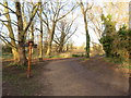 TQ2668 : Path in Morden Hall Park by Malc McDonald