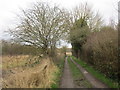 Footpath to Maythorne