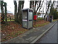 Elizabeth II postbox and telephone box on the A7, Harker