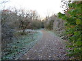 Frost on a track in the Woodgate Valley Country Park