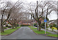 Princess Way, Beverley