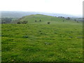 Hill to the west of Moel y Waen summit