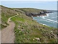 SM7323 : Pembrokeshire Coast Path by Philip Halling