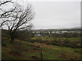 Looking towards Titton from Hartlebury Common