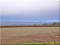 NT7329 : View north from edge of Bowmont Forest by Robin Webster