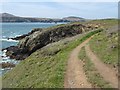 SM7123 : Pembroakeshire Coast Path above Pen Dal-aderyn by Philip Halling