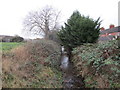 Mow Beck behind Alexandra Road, Grantham