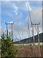SN8805 : Electricity pylons by Alan Hughes