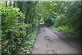 SJ6587 : Trans Pennine Trail, Thelwall by Richard Webb
