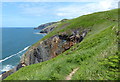 Pembrokeshire coastline near Tre-Rhŷs