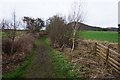 Path leading to Bowden Common