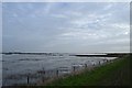 TQ9594 : High tide: Allfleets Marsh by John Myers