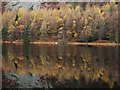 SH7661 : Autumn Colours, Llyn Geirionydd by Chris Andrews