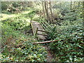 Footbridge on the Maelor Way