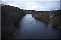 River Tweed at Tweedbank