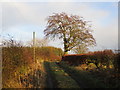 Farm track, Draffanmarshill