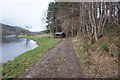 Riverside path towards Yair Bridge