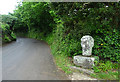 Wayside Cross, Mousehole Lane, Paul