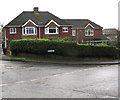 Evergreen hedge on a Lydney corner