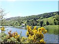 Fishing stands on the Fathom Line bank of the Newry Canal