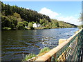 View WNW towards houses between the Newry Canal and Fathom Forest