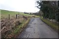 Road towards Ashiestiel Farm