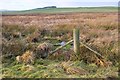 NT2556 : Edge of the bog, Herbertshaw by Jim Barton