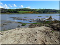 Mud flats in the Newry River