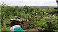 Ashley Vale Allotments