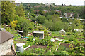 Ashley Vale Allotments