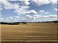 Farmland near Sherburn in Elmet