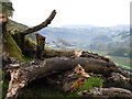 Pante Farm & Gwili Valley