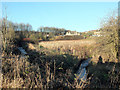 Hunsworth Beck and High Royds Beck approaching confluence