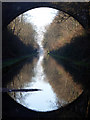 Tame Valley Canal through Freeth Bridge