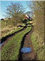 Track to Hale Hill Farm