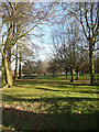 Wood pasture near Tower Lodges, Codicote