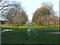 Avenue of trees, Old Knebworth