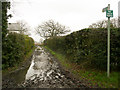 Muddy footpath off Slip Lane, Old Knebworth