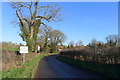 Thrussington Road entering Hoby