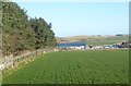 Arable field next to woodland