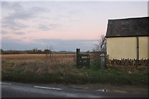 SP3125 : Fields by Chadlington Downs Farm, Chipping Norton by David Howard