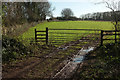 Gate and field by Barn Copse