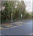 Shelterless bus stop, Ponthir Road, Caerleon