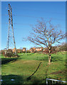 Pylon and Small Tree