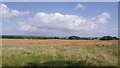 Arable land, Smallburn