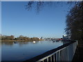 TQ2475 : River Thames seen from Wandsworth Park by Marathon
