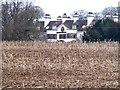 A distant glimpse of Stelling Hall